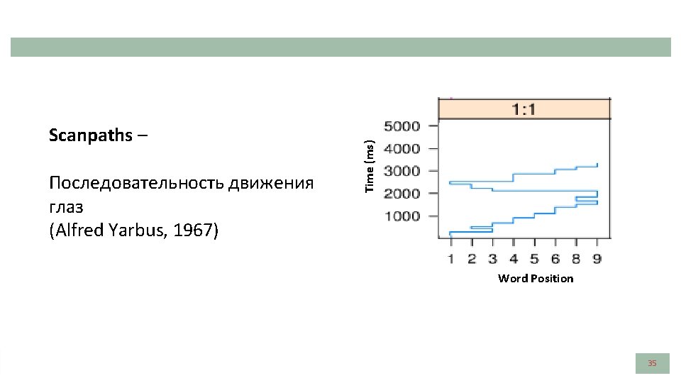 Последовательность движения глаз (Alfred Yarbus, 1967) Time (ms) Scanpaths – Word Position 35 