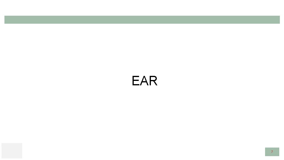 EAR 7 