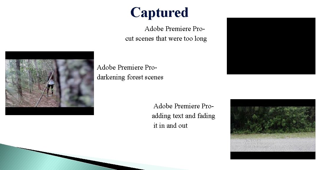 Captured Adobe Premiere Procut scenes that were too long Adobe Premiere Prodarkening forest scenes