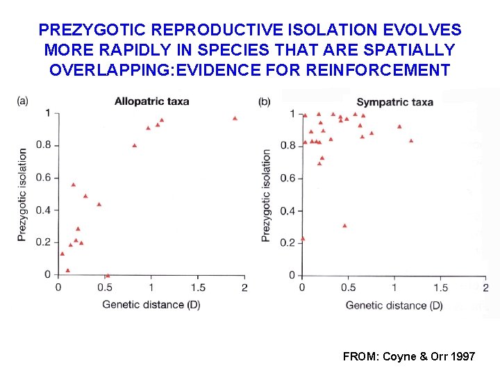 PREZYGOTIC REPRODUCTIVE ISOLATION EVOLVES MORE RAPIDLY IN SPECIES THAT ARE SPATIALLY OVERLAPPING: EVIDENCE FOR