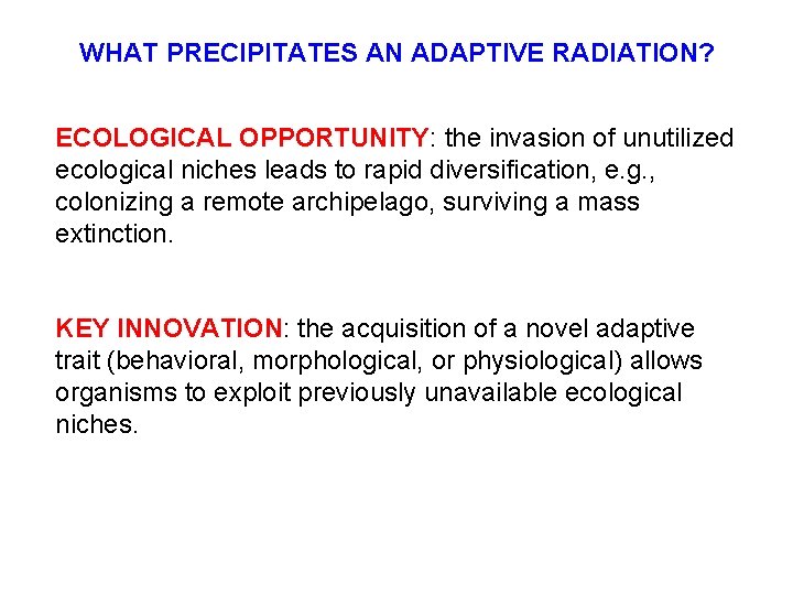 WHAT PRECIPITATES AN ADAPTIVE RADIATION? ECOLOGICAL OPPORTUNITY: the invasion of unutilized ecological niches leads