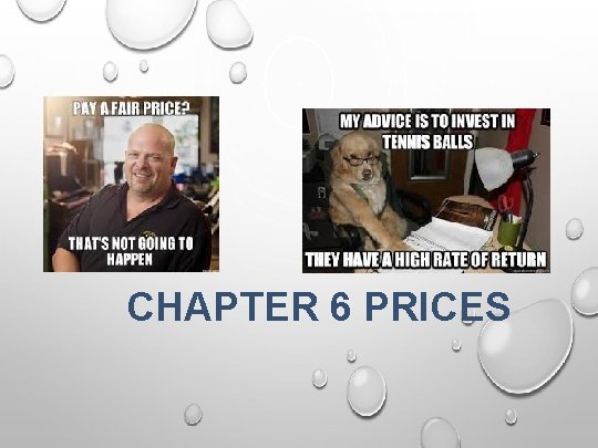 CHAPTER 6 PRICES 