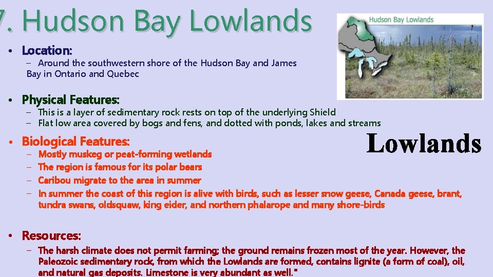 7. Hudson Bay Lowlands • Location: – Around the southwestern shore of the Hudson