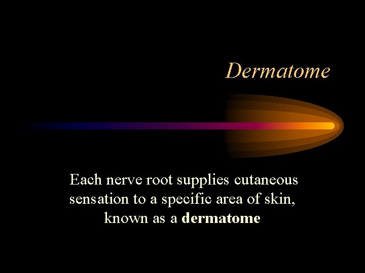 Dermatome Each nerve root supplies cutaneous sensation to a specific area of skin, known