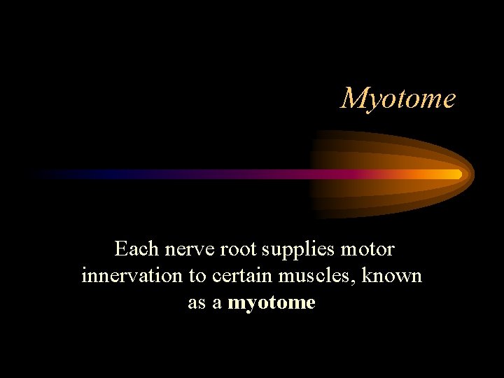 Myotome Each nerve root supplies motor innervation to certain muscles, known as a myotome
