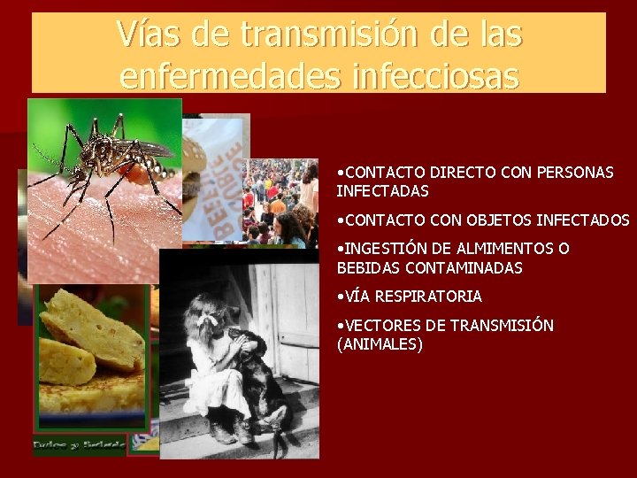 Vías de transmisión de las enfermedades infecciosas • CONTACTO DIRECTO CON PERSONAS INFECTADAS • Vías de transmisión de las enfermedades infecciosas • CONTACTO DIRECTO CON PERSONAS INFECTADAS •