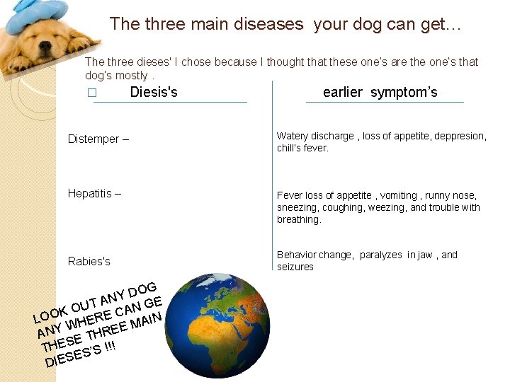 The three main diseases your dog can get… The three dieses' I chose because