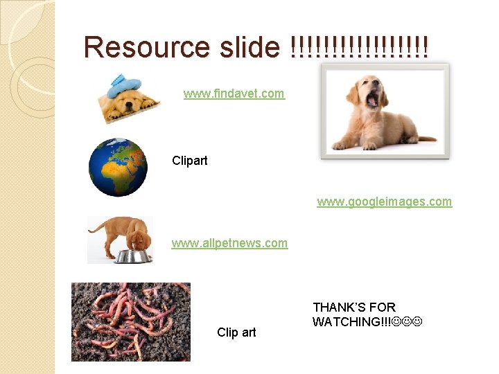 Resource slide !!!!!!!!! www. findavet. com Clipart www. googleimages. com www. allpetnews. com Clip
