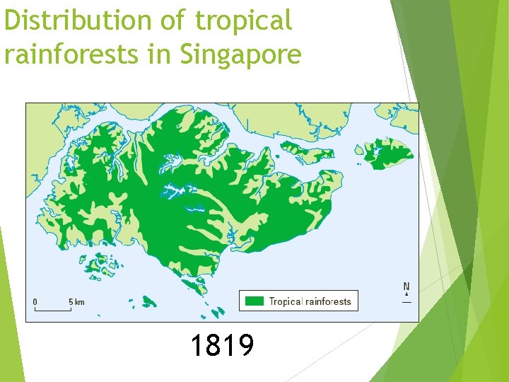 Distribution of tropical rainforests in Singapore 1819 