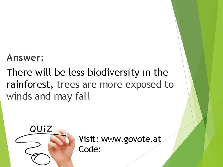 Answer: There will be less biodiversity in the rainforest, trees are more exposed to