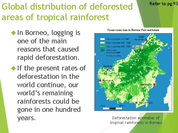 Global distribution of deforested areas of tropical rainforest Refer to pg 93 In Borneo,