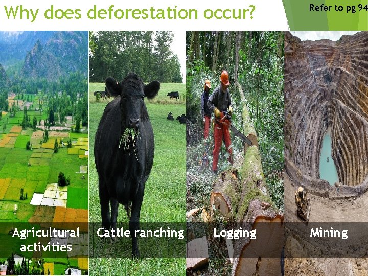 Why does deforestation occur? Agricultural activities Cattle ranching Logging Refer to pg 94 Mining