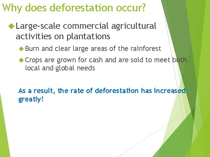 Why does deforestation occur? Large-scale commercial agricultural activities on plantations Burn and clear large