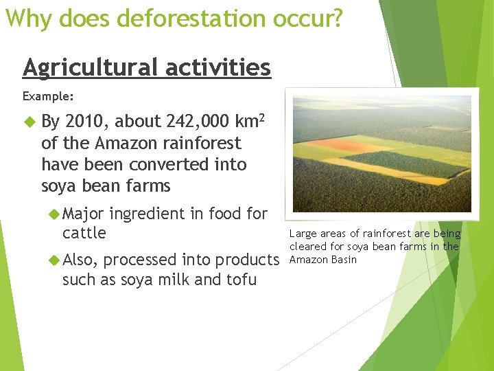 Why does deforestation occur? Agricultural activities Example: By 2010, about 242, 000 km 2