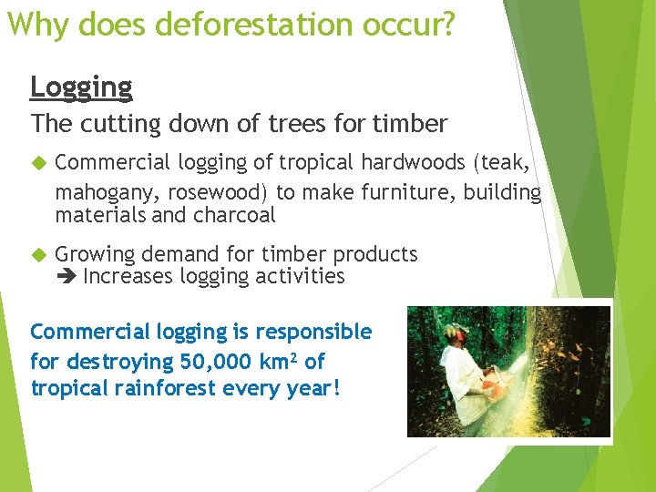 Why does deforestation occur? Logging The cutting down of trees for timber Commercial logging
