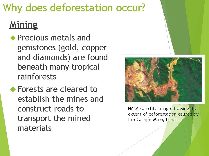 Why does deforestation occur? Mining Precious metals and gemstones (gold, copper and diamonds) are