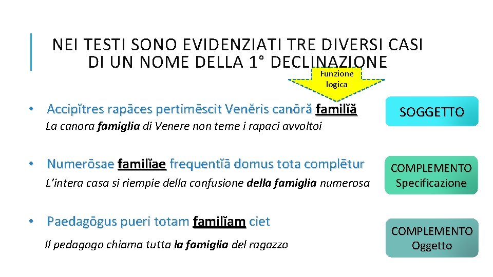 NEI TESTI SONO EVIDENZIATI TRE DIVERSI CASI DI UN NOME DELLA 1° DECLINAZIONE Funzione