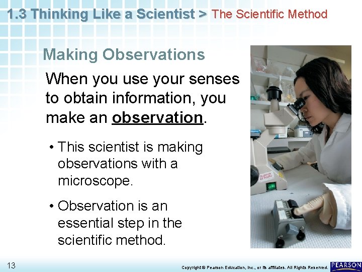 1. 3 Thinking Like a Scientist > The Scientific Method Making Observations When you
