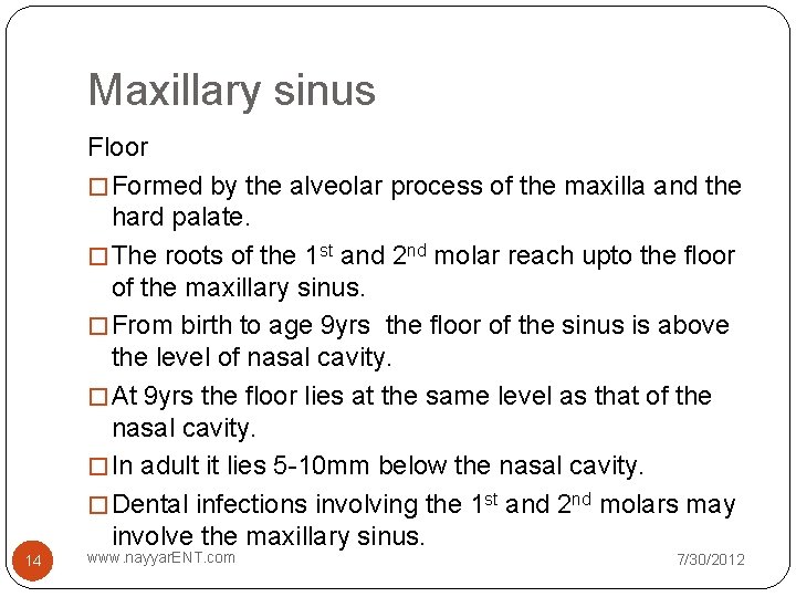 Maxillary sinus Floor � Formed by the alveolar process of the maxilla and the Maxillary sinus Floor � Formed by the alveolar process of the maxilla and the
