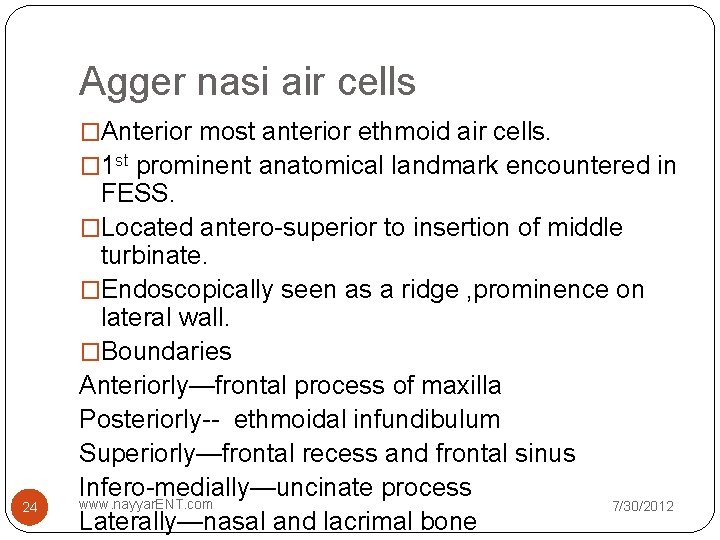 Agger nasi air cells �Anterior most anterior ethmoid air cells. � 1 st prominent Agger nasi air cells �Anterior most anterior ethmoid air cells. � 1 st prominent
