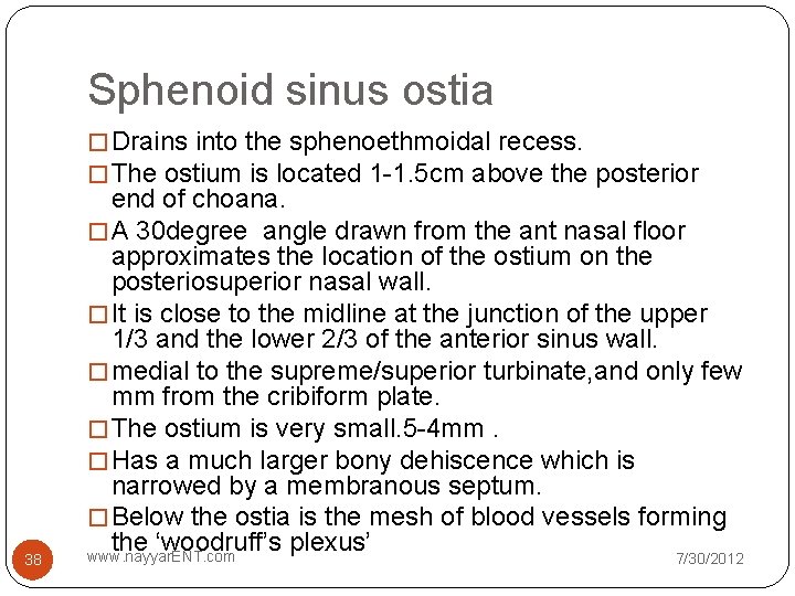 Sphenoid sinus ostia � Drains into the sphenoethmoidal recess. � The ostium is located Sphenoid sinus ostia � Drains into the sphenoethmoidal recess. � The ostium is located