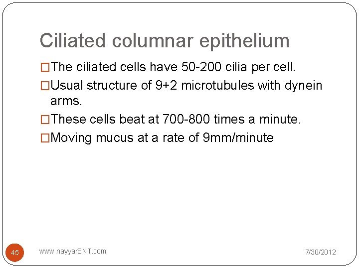 Ciliated columnar epithelium �The ciliated cells have 50 -200 cilia per cell. �Usual structure Ciliated columnar epithelium �The ciliated cells have 50 -200 cilia per cell. �Usual structure