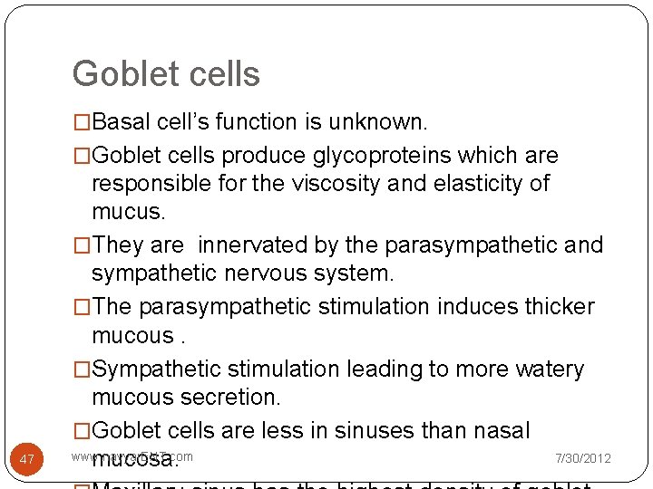 Goblet cells �Basal cell’s function is unknown. �Goblet cells produce glycoproteins which are 47 Goblet cells �Basal cell’s function is unknown. �Goblet cells produce glycoproteins which are 47