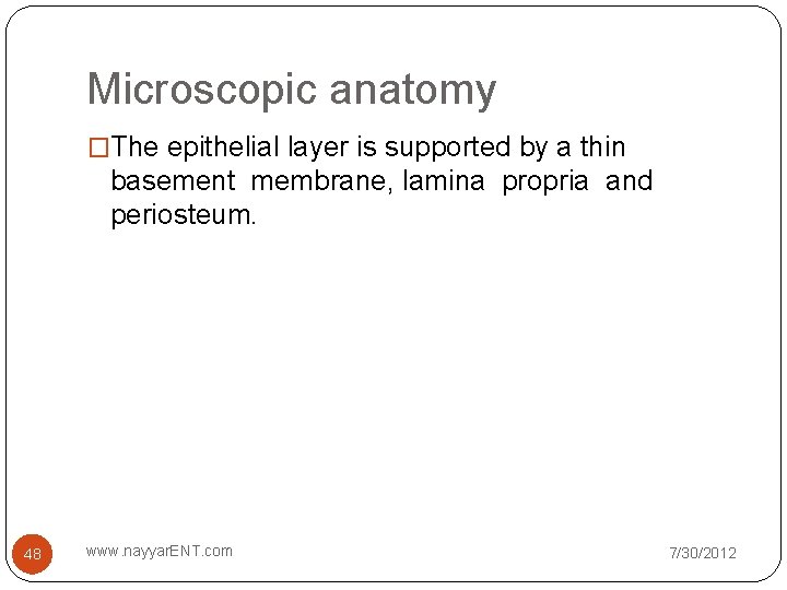 Microscopic anatomy �The epithelial layer is supported by a thin basement membrane, lamina propria Microscopic anatomy �The epithelial layer is supported by a thin basement membrane, lamina propria