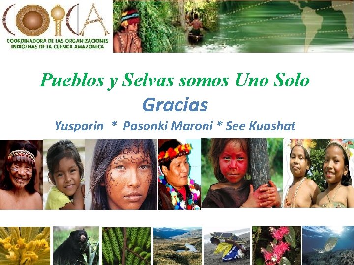 Pueblos y Selvas somos Uno Solo Gracias Yusparin * Pasonki Maroni * See Kuashat