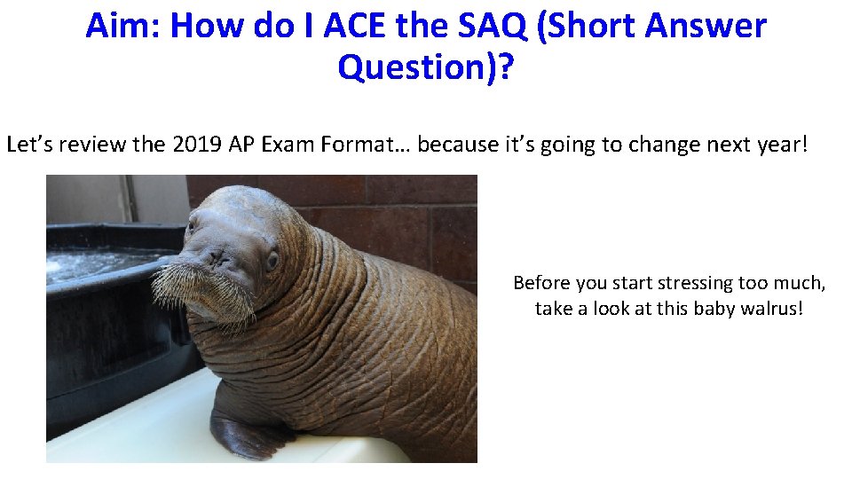 Aim: How do I ACE the SAQ (Short Answer Question)? Let’s review the 2019