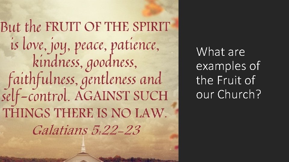 What are examples of the Fruit of our Church? 