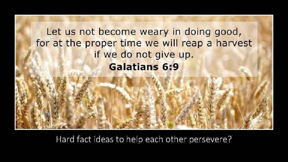 Hard fact ideas to help each other persevere? 