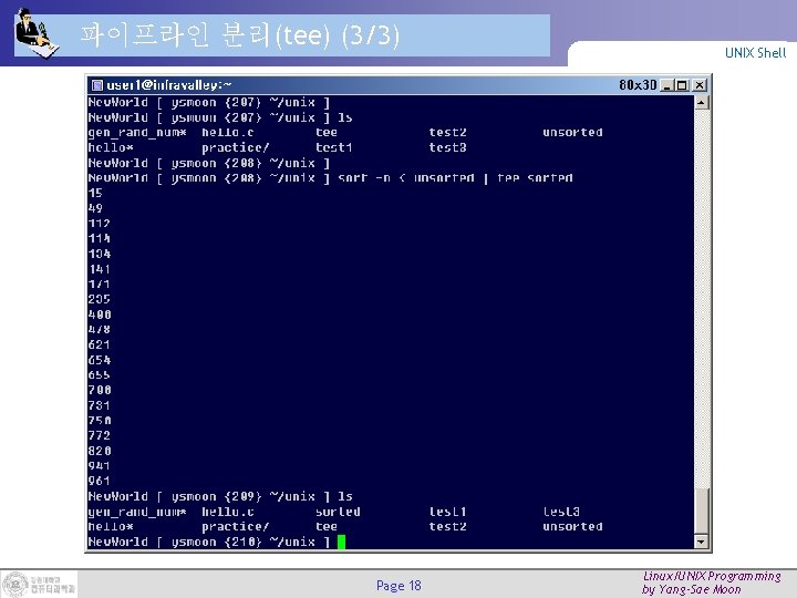 파이프라인 분리(tee) (3/3) Page 18 UNIX Shell Linux/UNIX Programming by Yang-Sae Moon 