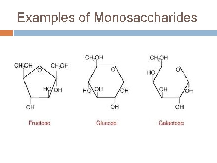 Examples of Monosaccharides 