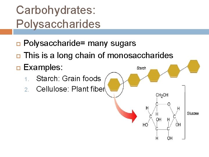 Carbohydrates: Polysaccharides Polysaccharide= many sugars This is a long chain of monosaccharides Examples: 1.