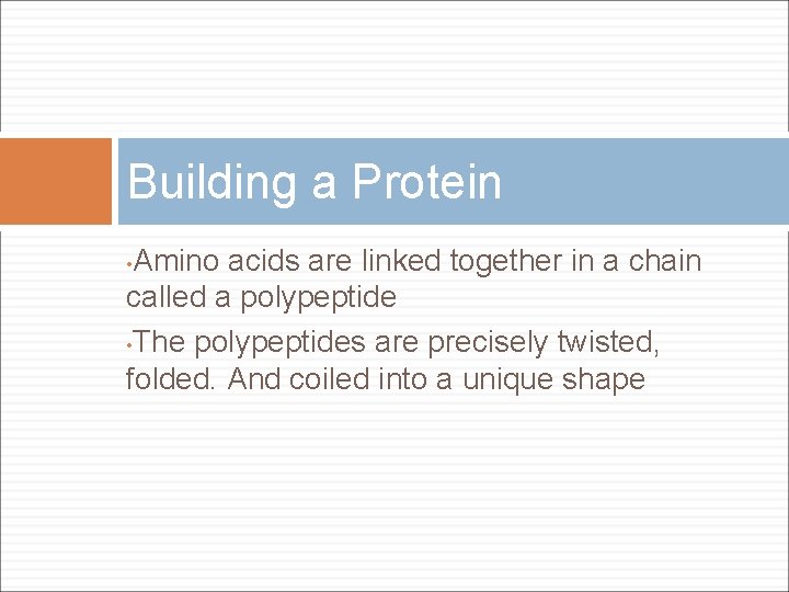 Building a Protein Amino acids are linked together in a chain called a polypeptide