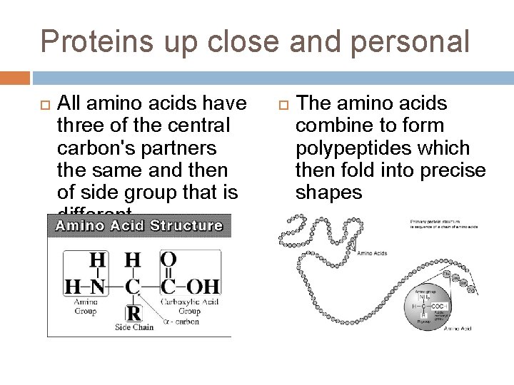 Proteins up close and personal All amino acids have three of the central carbon's