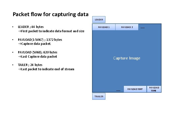 Packet flow for capturing data LEADER • LEADER ; 44 bytes First packet to