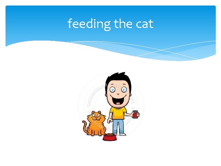 feeding the cat 