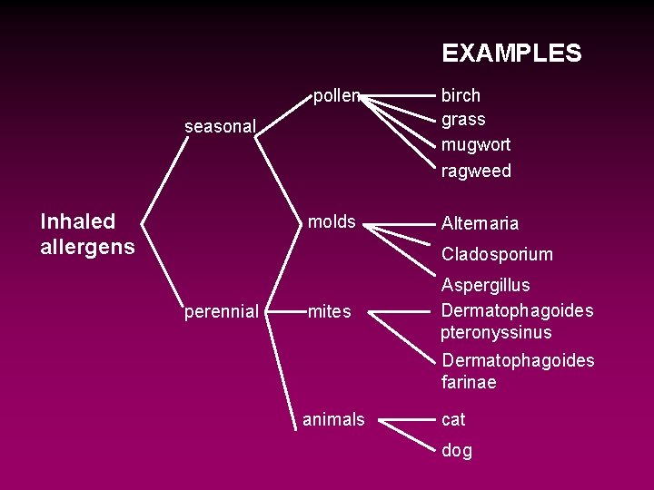 EXAMPLES pollen birch grass mugwort ragweed molds Alternaria seasonal Inhaled allergens Cladosporium perennial mites