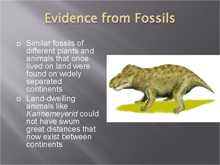 Evidence from Fossils Similar fossils of different plants and animals that once lived on