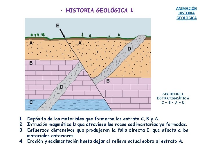  • HISTORIA GEOLÓGICA 1 ANIMACIÓN HISTORIA GEOLÓGICA SECUENCIA ESTRATIGRÁFICA C – B –