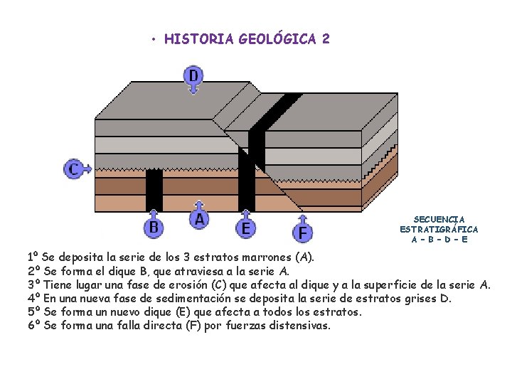  • HISTORIA GEOLÓGICA 2 SECUENCIA ESTRATIGRÁFICA A – B – D – E