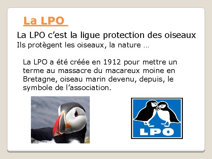 La LPO c’est la ligue protection des oiseaux Ils protègent les oiseaux, la nature