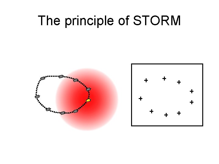 The principle of STORM 