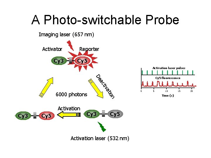 A Photo-switchable Probe Imaging laser (657 nm) Activator Cy 3 Reporter Cy 5 Activation