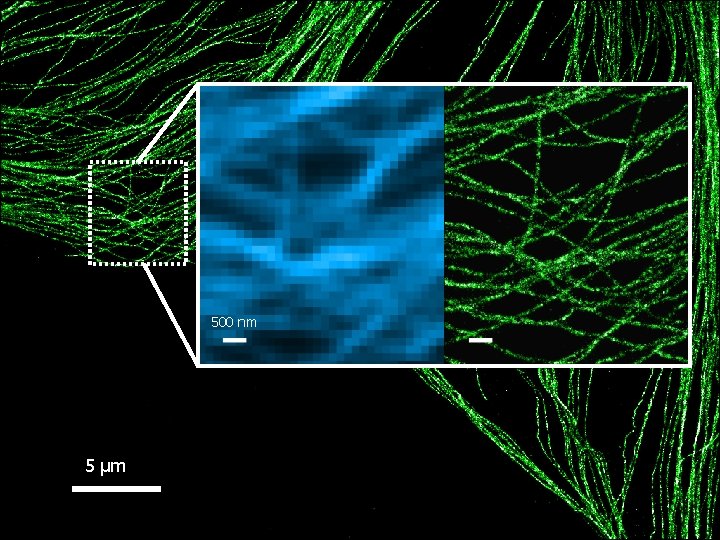 500 nm 5 μm 