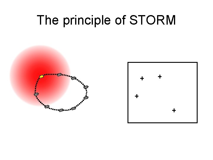 The principle of STORM 