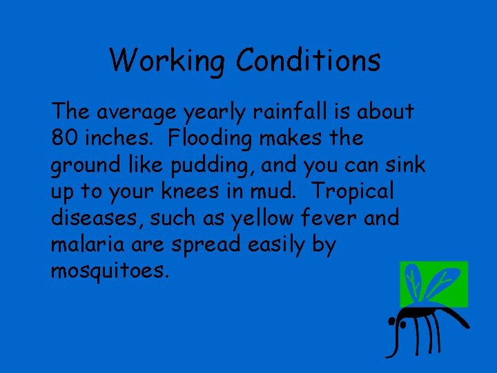 Working Conditions The average yearly rainfall is about 80 inches. Flooding makes the ground