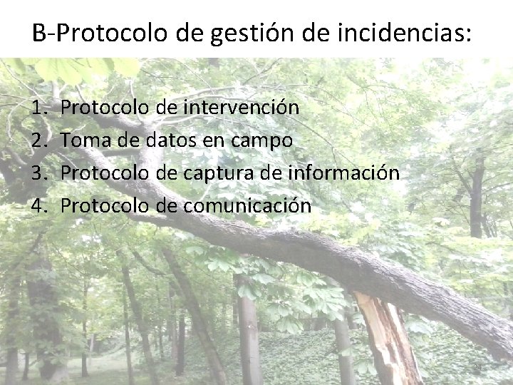 B-Protocolo de gestión de incidencias: 1. 2. 3. 4. Protocolo de intervención Toma de